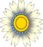 Allergy and Immunology Clinic company logo