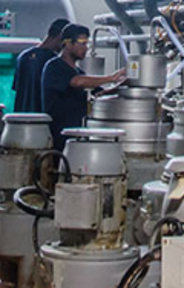  banner picture 3