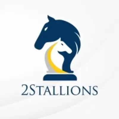 2Stallions Digital Marketing Agency company logo