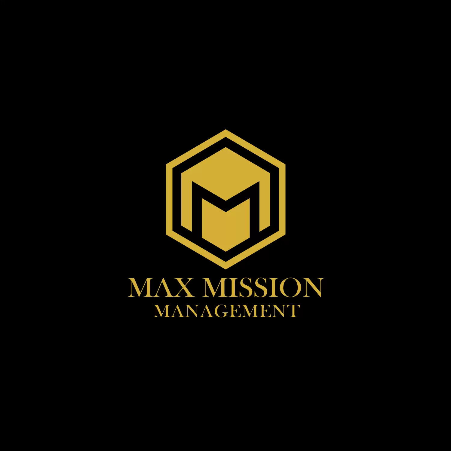 MAX MISSION MANAGEMENT company logo