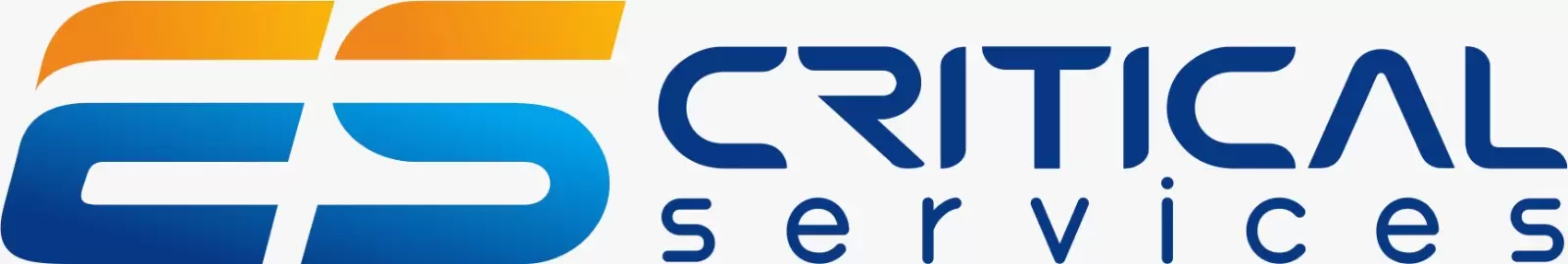 ES Critical Services Sdn Bhd company logo