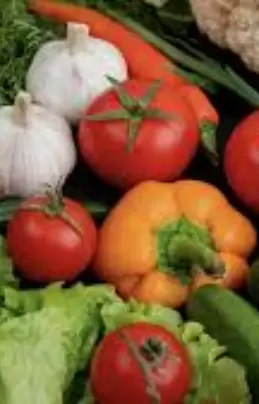 TS VEGE TRADING SDN. BHD. banner picture 3