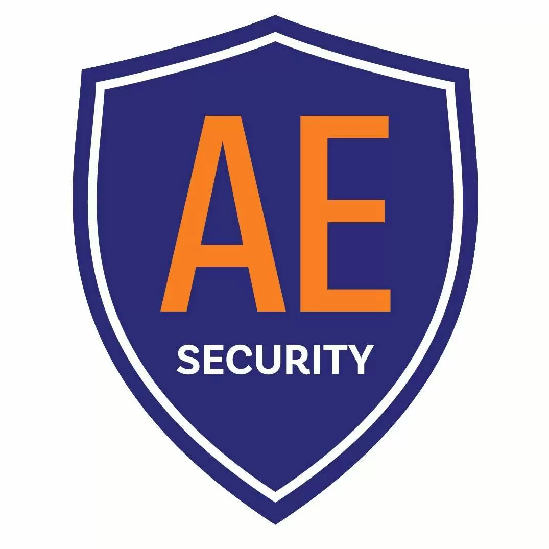 AE Security System Sdn Bhd company logo