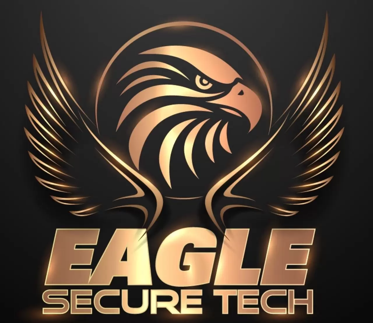 EAGLE SECURE TECH SDN BHD logo