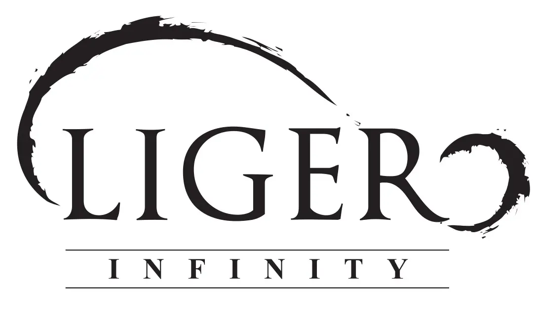 Liger Infinity Sdn Bhd company logo